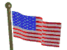 bandiera usa